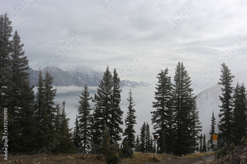 Fototapeta Naklejka Na Ścianę i Meble -  Views from Sulphur Mountain Banff