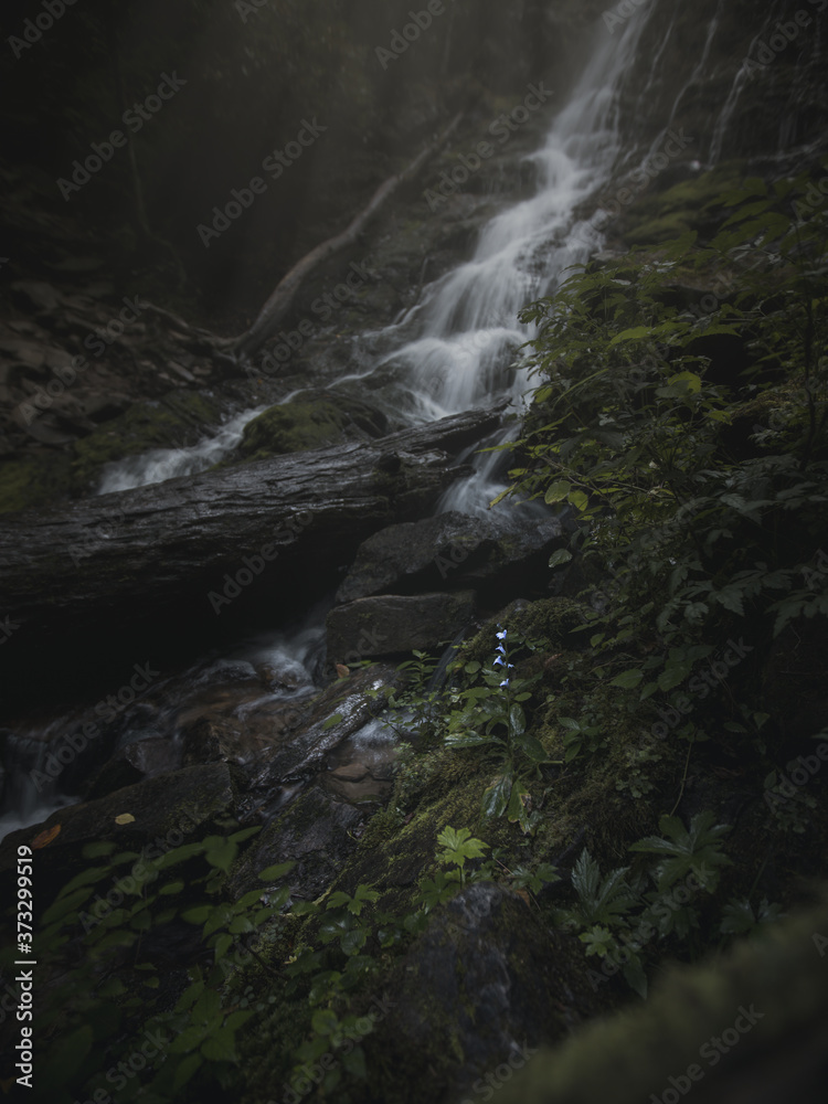 waterfall in the forest waterfall in the forest