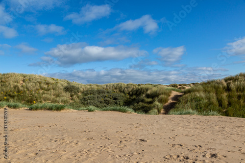 A Sandy Beach and Dunes, at Formby in Merseyside