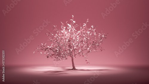 Single deciduous old tree in monochrome pink color environment, 3d rendering © markOfshell