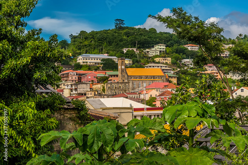 фотографія A glimpse through the foliage towards the buildings on the hill above St George