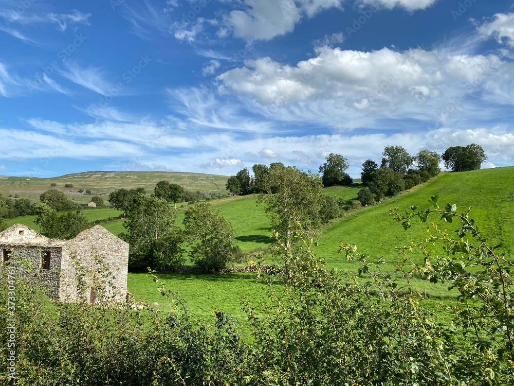 Landscape, with old barn ruins, fields, trees, hills and meadows near, Aysgarth, Leyburn, UK