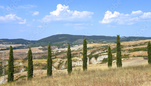 S  ulenzypressen vor einem Panorama der Crete Senesi