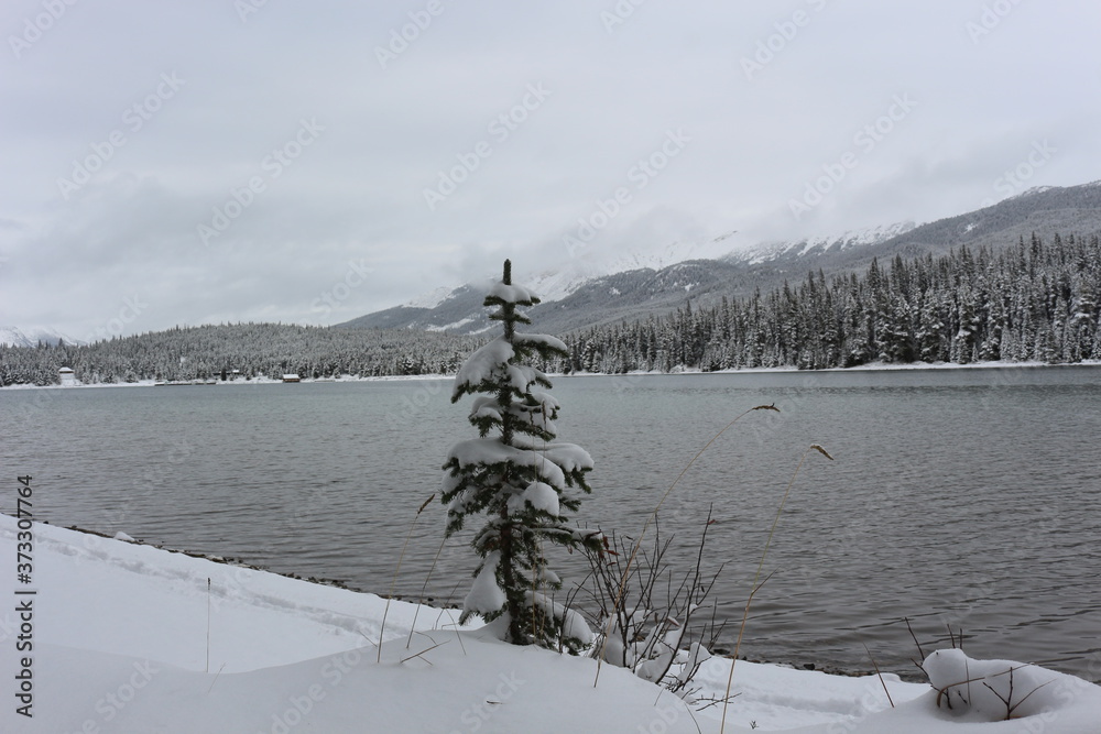 Fototapeta premium Moraine Lake in winter - Alberta Canada