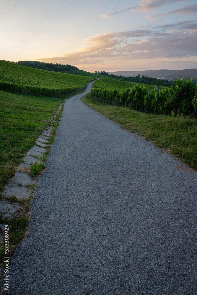Road in vineyard with clouds in dawn sky vertical format