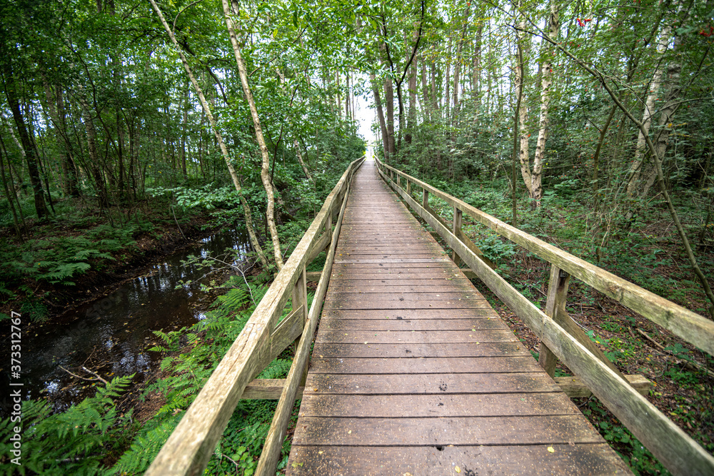 Wooden Walkway to Watchtower, Steinhuder Meer, Germany