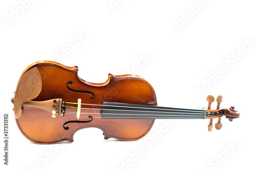 Close view of a violin strings and bridge.