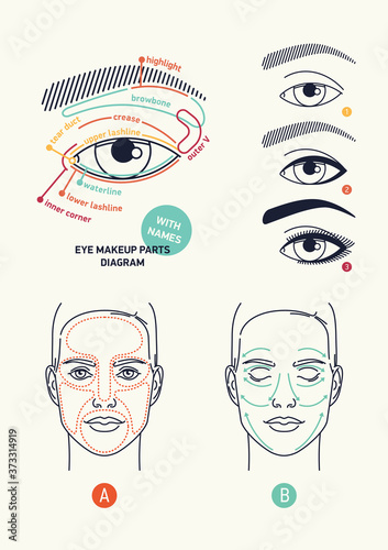 Clean stylish linear vector eye makeup themed diagrams and cosmetics application including facial skin areas and skincare product application scheme with arrows and eye parts diagram with names