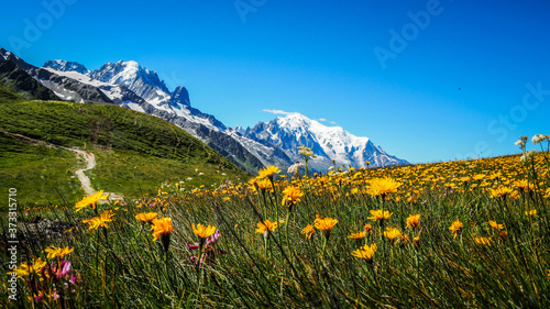 Tour du Mont Blanc, hiking in the Alps