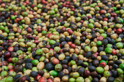 coffee beans of green, yellow, red and blue colours lying on the ground
