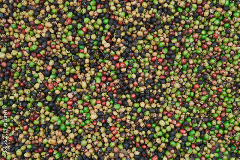 coffee beans of green, yellow, red and blue colours lying on the ground