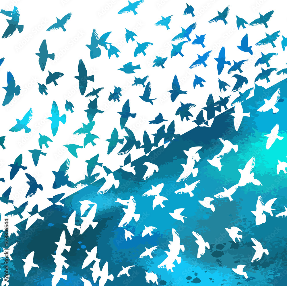 Obraz Bird watercolor. A flock of colorful birds. Mixed media. Vector illustration