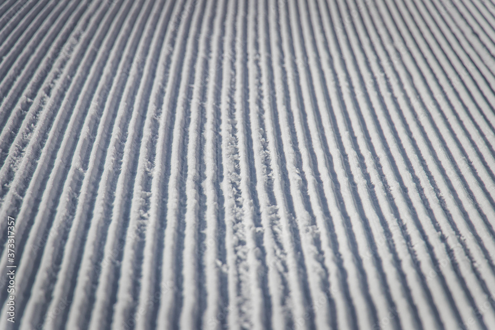 Snow floor Snow floor