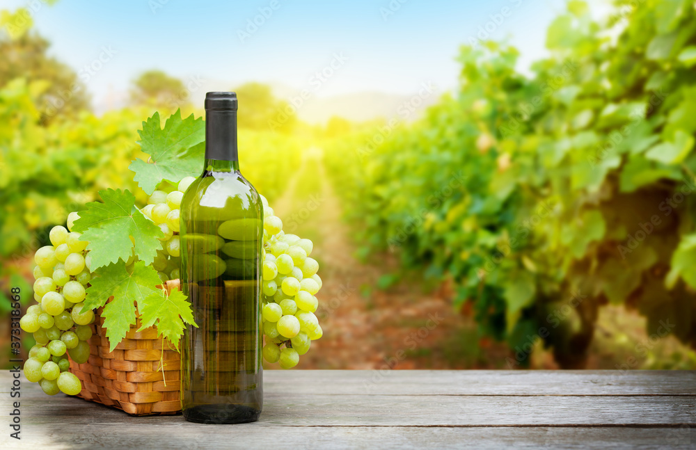 Grapes and wine in front of landscape of vineyard