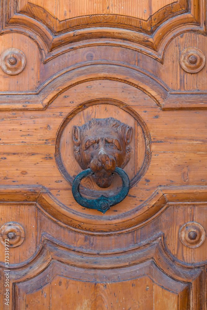 close up of a door knocker in the shape of a lion's head on a wooden door