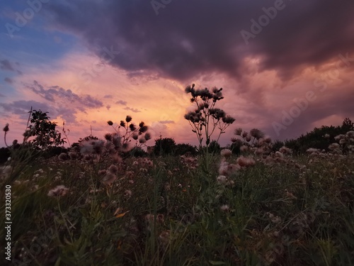 sunset 