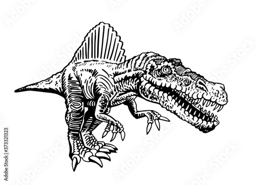 Vector spinosaurus isolated on white,dinosaur for printing , tattoo and design © Vita
