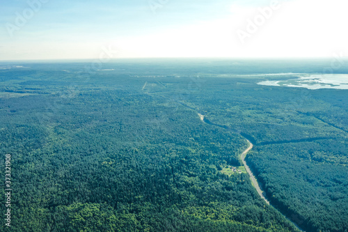 Wallpaper Mural A view from a drone, a bird's-eye view of a coniferous forest. Forest, coniferous forest, green color, background, background green, summer, daylight, forest structure. Torontodigital.ca