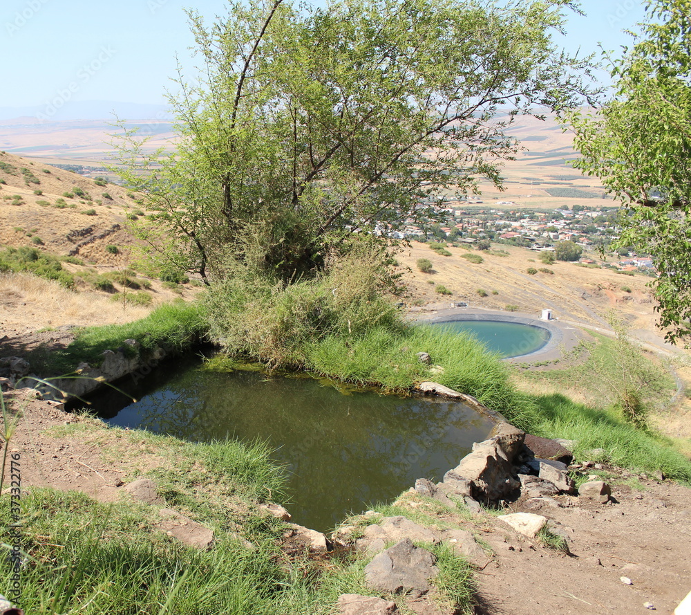 Obraz premium Ein Chrysanthemum spring and a water reservoir near the town of Yavniel