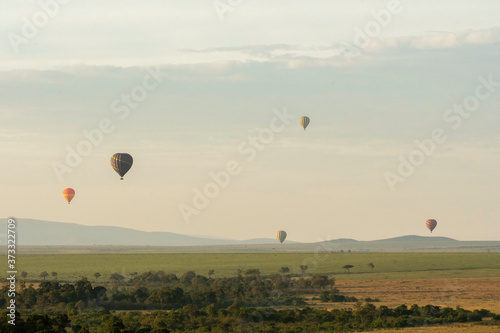 Hot air balloons raising up for a safari early in the morning inside Masai Mara national reserve