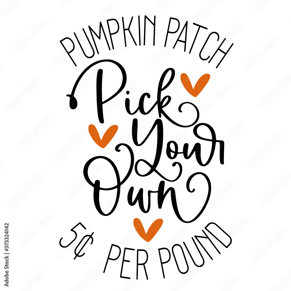 Pumpkin Patch Pick Your Own 5 cents Per Pound