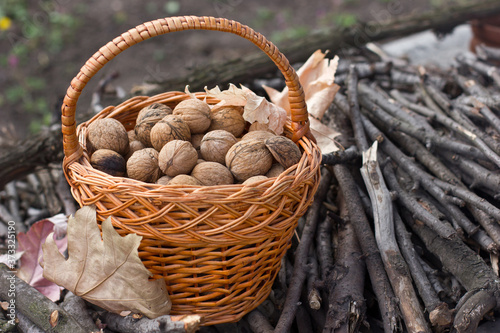 Firewood and wicker basket with walnuts. Autumn mood. Rustic style