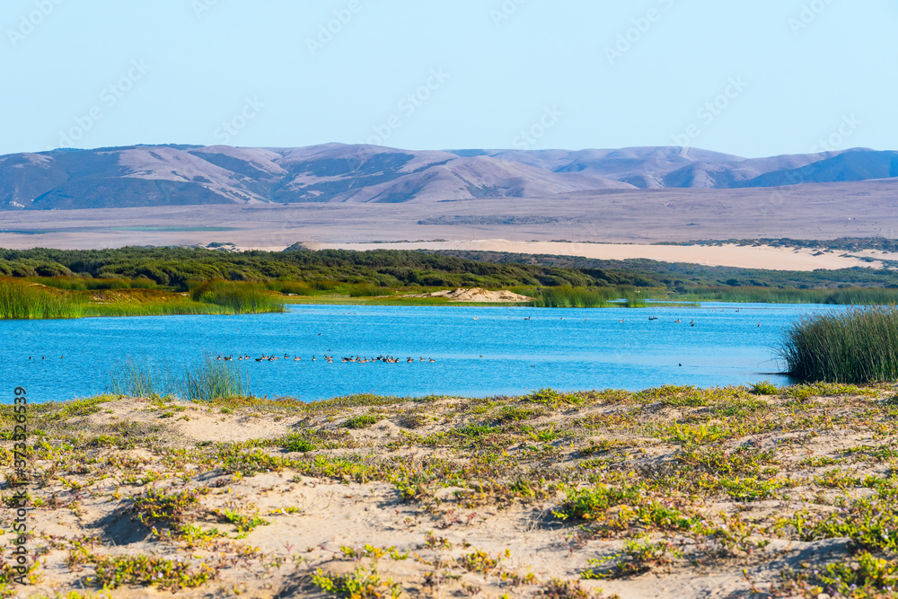 Blue river and flock of birds, sand dunes with native plants, mountains, and blue sky on background.