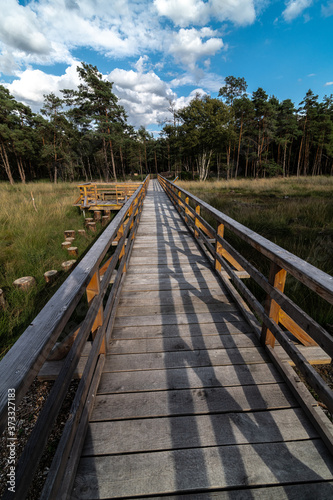 Fototapeta Naklejka Na Ścianę i Meble -  Wooden Walkway at the Otternhagener Peat or Turf Area, Germany