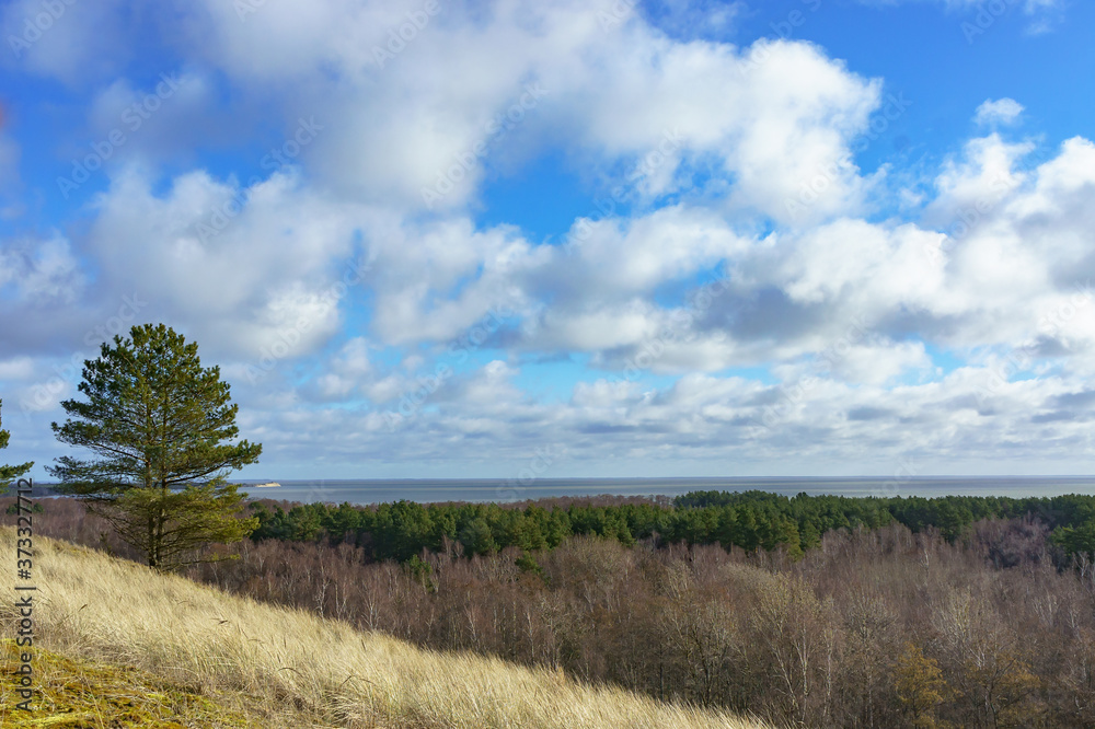 High sand dunes. Picturesque sea shores. Curonian Spit on the Baltic Sea.