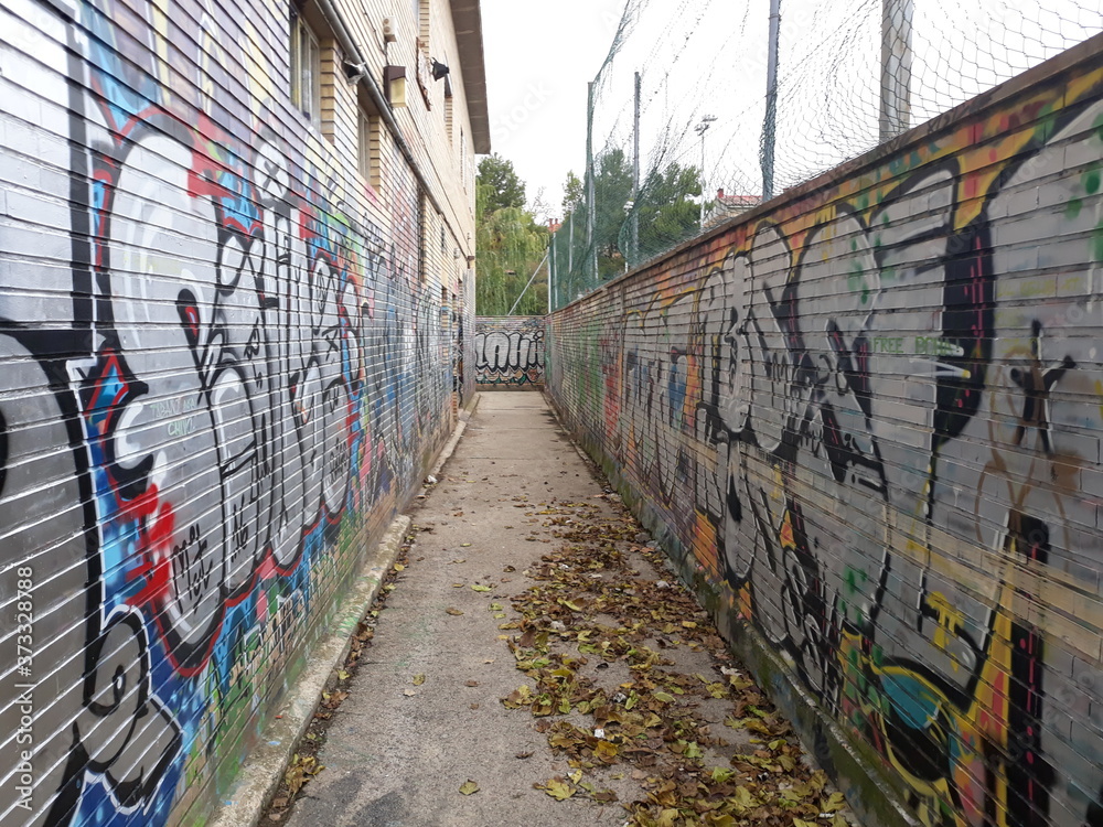 Fototapeta premium graffiti on the wall