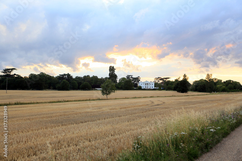 Obraz na płótnie view of felix hall across cornfields in kelvedon, essex