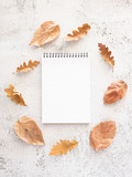 Autumn notebook notes mockup. Vertical composition blank spiral notebook with copy space and dried maple and oak leaves. Flat lay, copy space