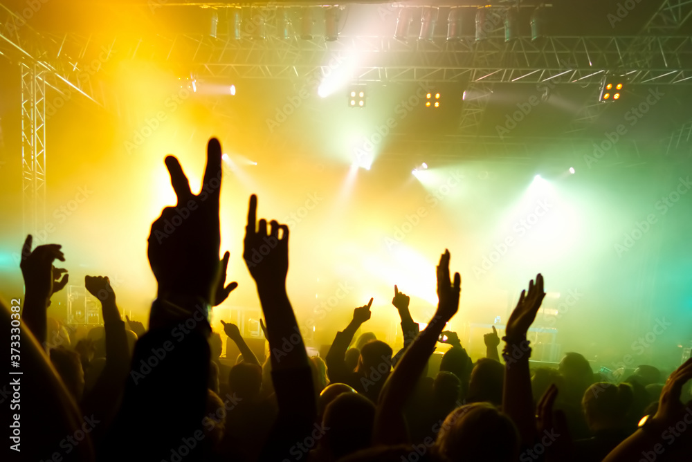 crowd of people dancing at concert