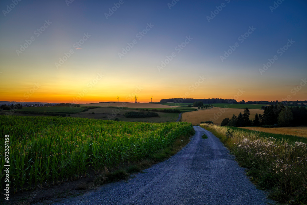 country road in the rural landscape at sunset