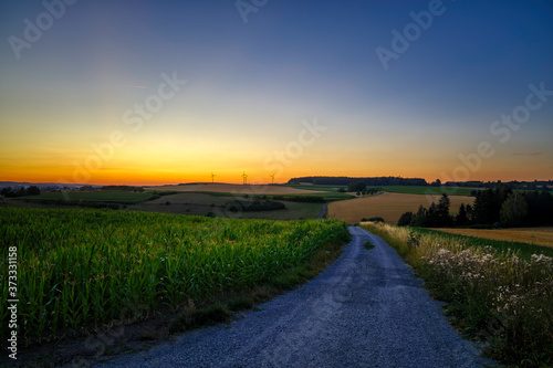 country road in the rural landscape at sunset