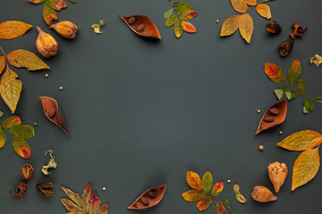 Autumnal-winter composition with dried leaves, bark of trees and  berries on dark background. Frame of plants. Flat lay, copy space.