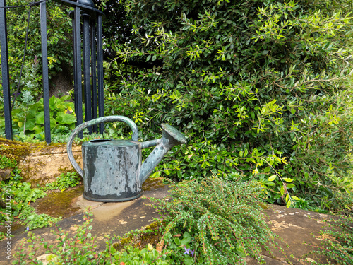 vintage garden watering can