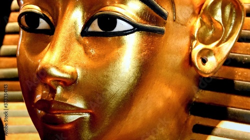 Canvas Print face of a golden face
