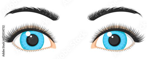 Natural blue female eyes and eyebrows on white background