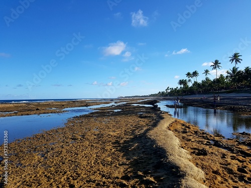 Reef anda palms photo