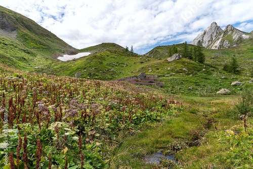 Obraz na płótnie Refuge Elisabetta Val Veny - Courmayeur - Valle d'Aosta - Italy w salonie