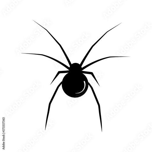 Black spider on a white background. Vector illustration © Elena