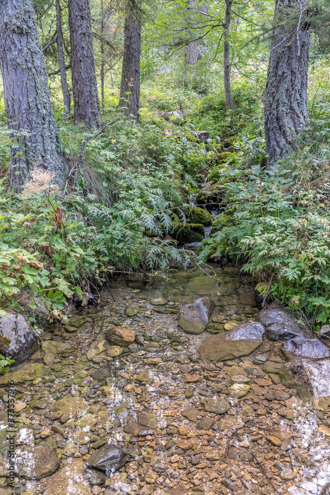 Obraz premium Cascade dans les Alpes