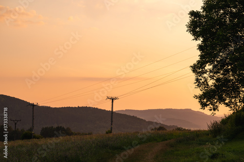 Landscape at sunset. Meadow, trees, forests and the sun shining through them. Clouds in the sky, golden hour, romantic scene. Power lines.