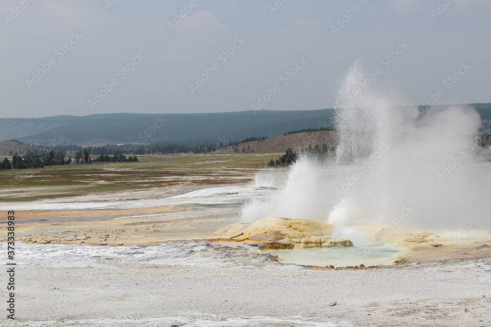 Geyser in Yellowstone National Park.