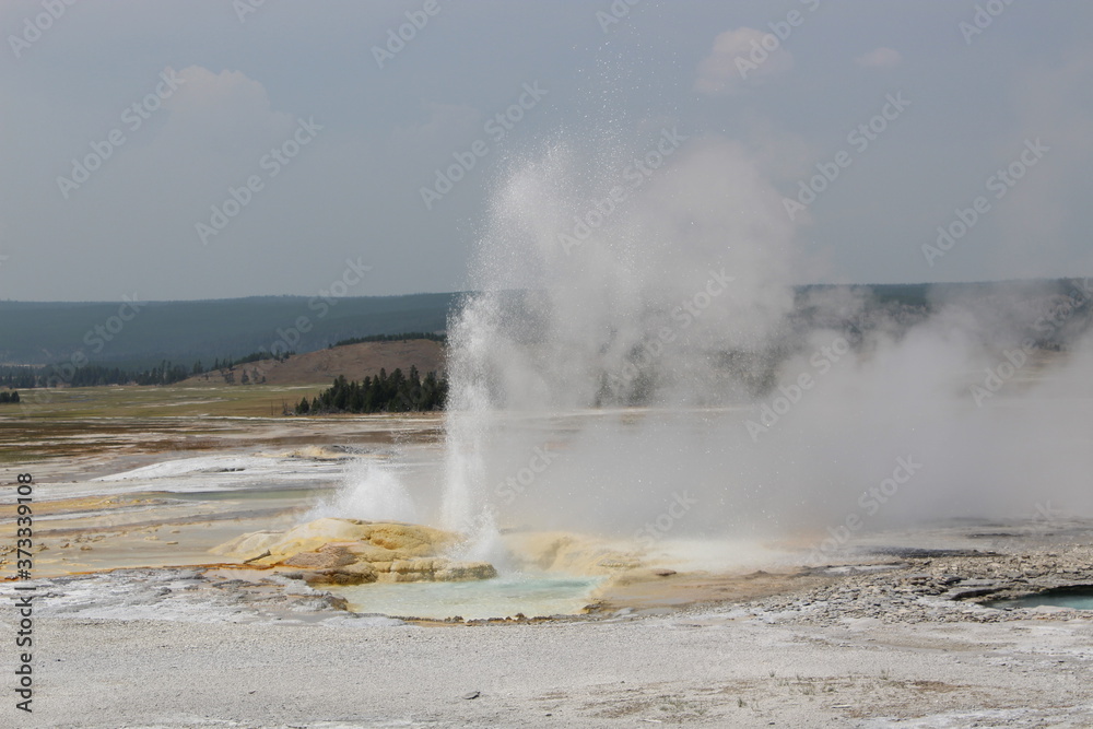 Geyser in Yellowstone National Park.