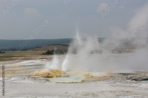 Geyser in Yellowstone National Park.