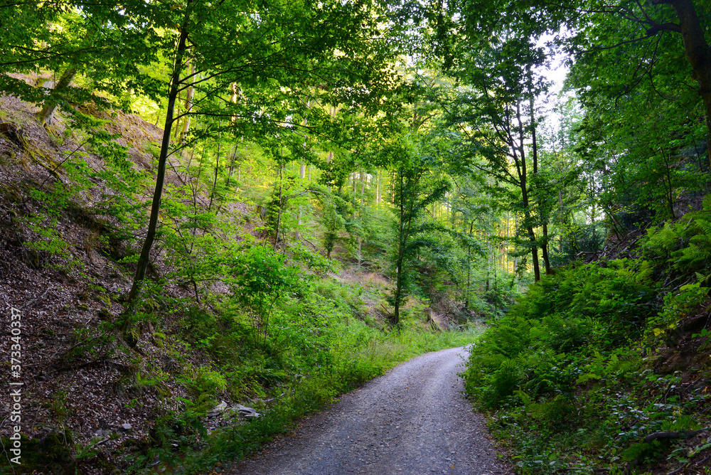 Rückersbacher Schlucht in Johannesberg/Aschaffenburg