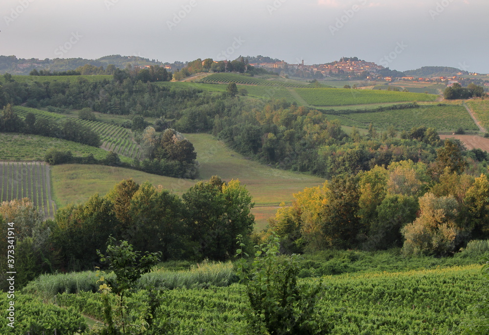 Moleto (Piedmont, Italy)