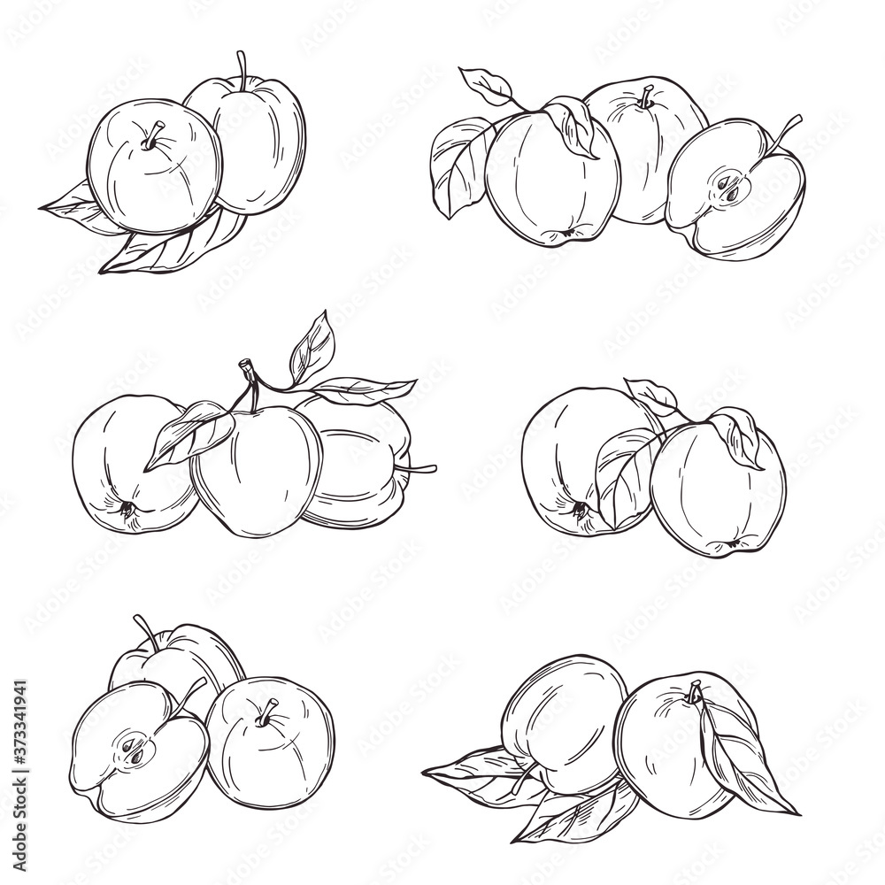 Hand drawn apples. Fruits on white background. Vector sketch illustration. Hand drawn apples. Fruits on white background. Vector sketch illustration.